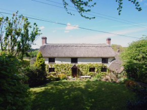 Hotels in Ashreigney